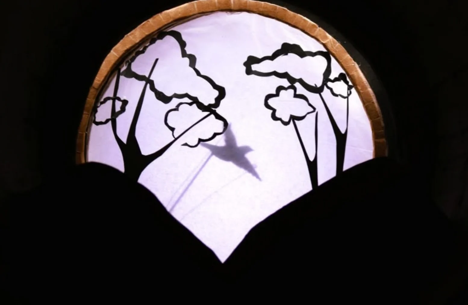 Escena de la obra Columba livia